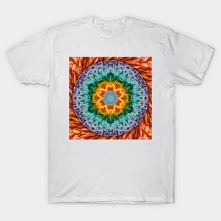 Sea of Tranquility T-Shirt